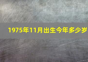 1975年11月出生今年多少岁