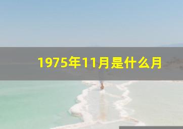 1975年11月是什么月