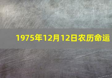 1975年12月12日农历命运