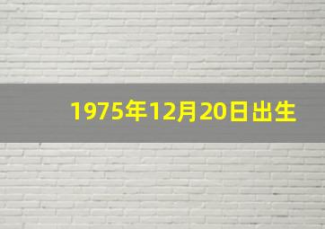 1975年12月20日出生