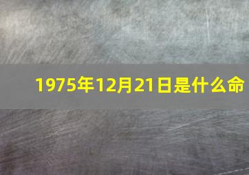 1975年12月21日是什么命