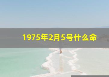 1975年2月5号什么命