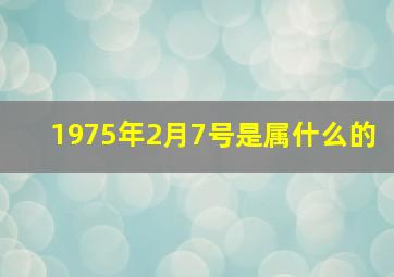 1975年2月7号是属什么的