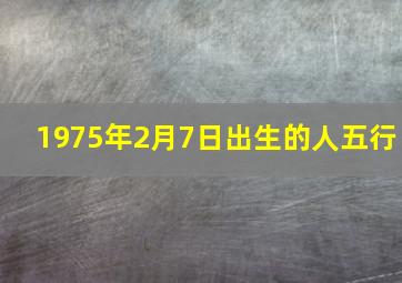 1975年2月7日出生的人五行