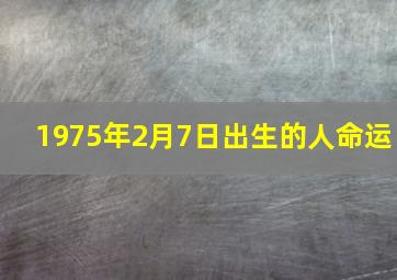 1975年2月7日出生的人命运