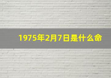 1975年2月7日是什么命