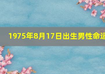 1975年8月17日出生男性命运