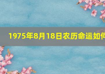 1975年8月18日农历命运如何