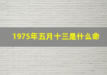 1975年五月十三是什么命