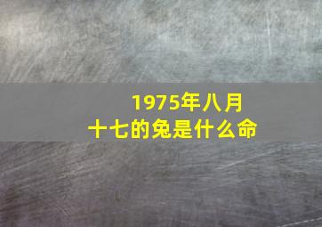 1975年八月十七的兔是什么命