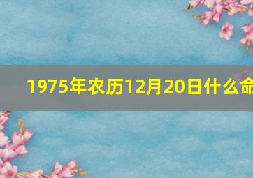 1975年农历12月20日什么命