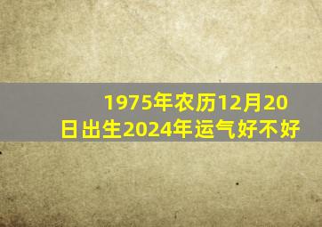 1975年农历12月20日出生2024年运气好不好