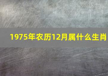 1975年农历12月属什么生肖