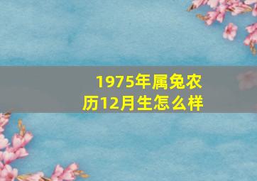 1975年属兔农历12月生怎么样