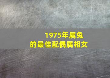 1975年属兔的最佳配偶属相女