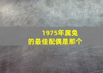 1975年属兔的最佳配偶是那个