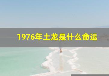 1976年土龙是什么命运