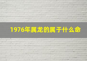 1976年属龙的属于什么命