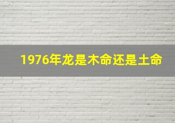 1976年龙是木命还是土命