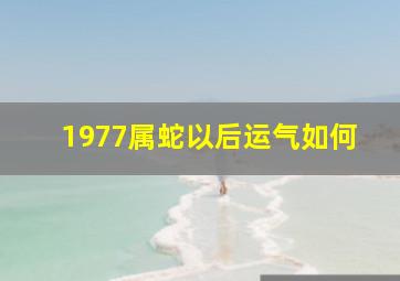 1977属蛇以后运气如何