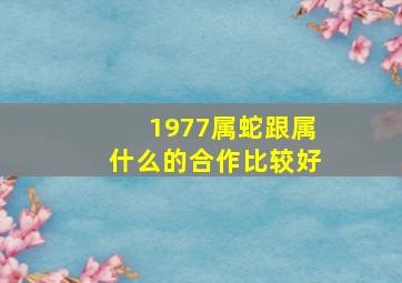 1977属蛇跟属什么的合作比较好