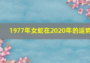 1977年女蛇在2020年的运势