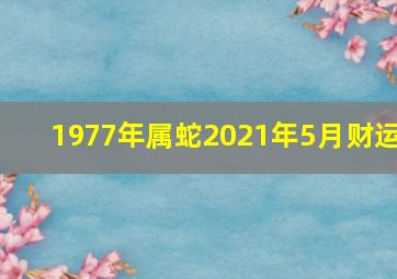 1977年属蛇2021年5月财运