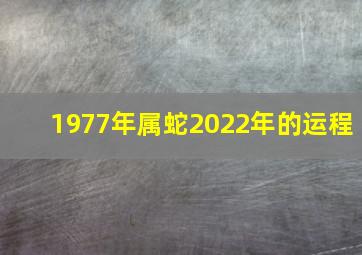 1977年属蛇2022年的运程