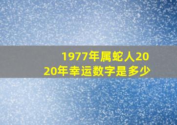 1977年属蛇人2020年幸运数字是多少