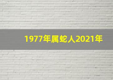 1977年属蛇人2021年