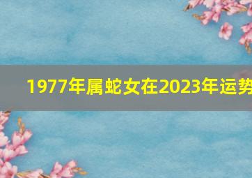 1977年属蛇女在2023年运势