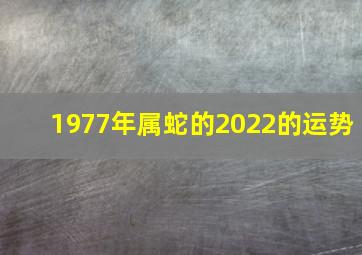 1977年属蛇的2022的运势