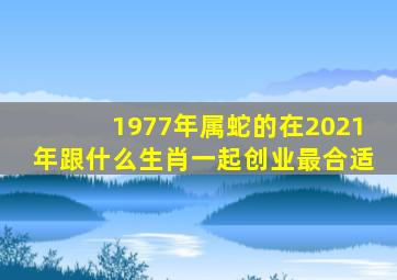 1977年属蛇的在2021年跟什么生肖一起创业最合适