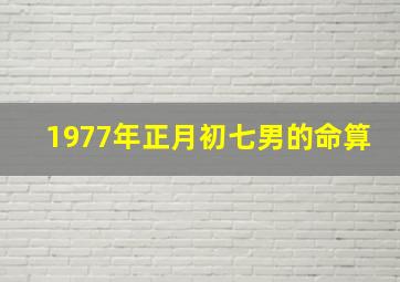 1977年正月初七男的命算