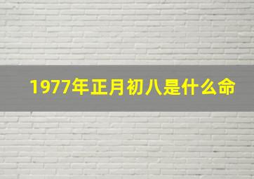 1977年正月初八是什么命