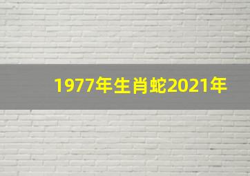 1977年生肖蛇2021年