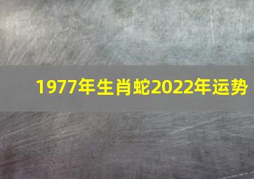 1977年生肖蛇2022年运势