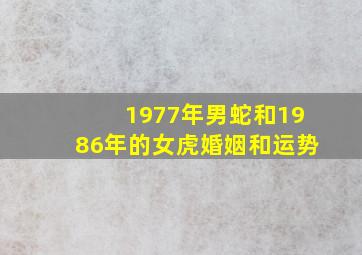 1977年男蛇和1986年的女虎婚姻和运势