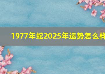 1977年蛇2025年运势怎么样