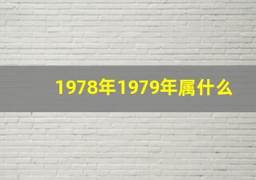 1978年1979年属什么