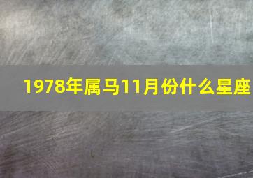 1978年属马11月份什么星座