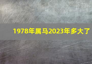 1978年属马2023年多大了