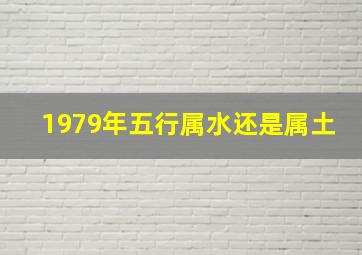 1979年五行属水还是属土