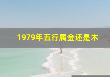 1979年五行属金还是木