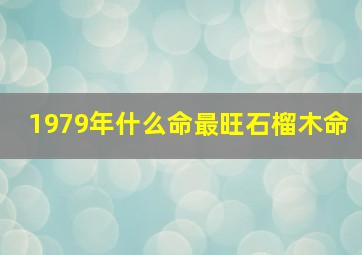 1979年什么命最旺石榴木命