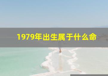 1979年出生属于什么命