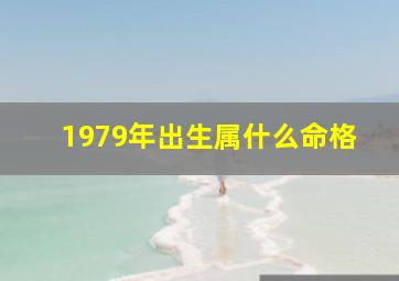 1979年出生属什么命格