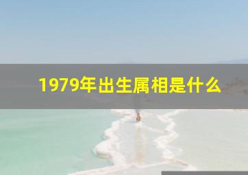 1979年出生属相是什么