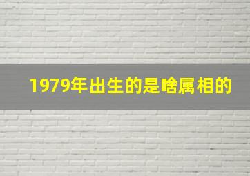 1979年出生的是啥属相的