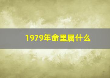 1979年命里属什么